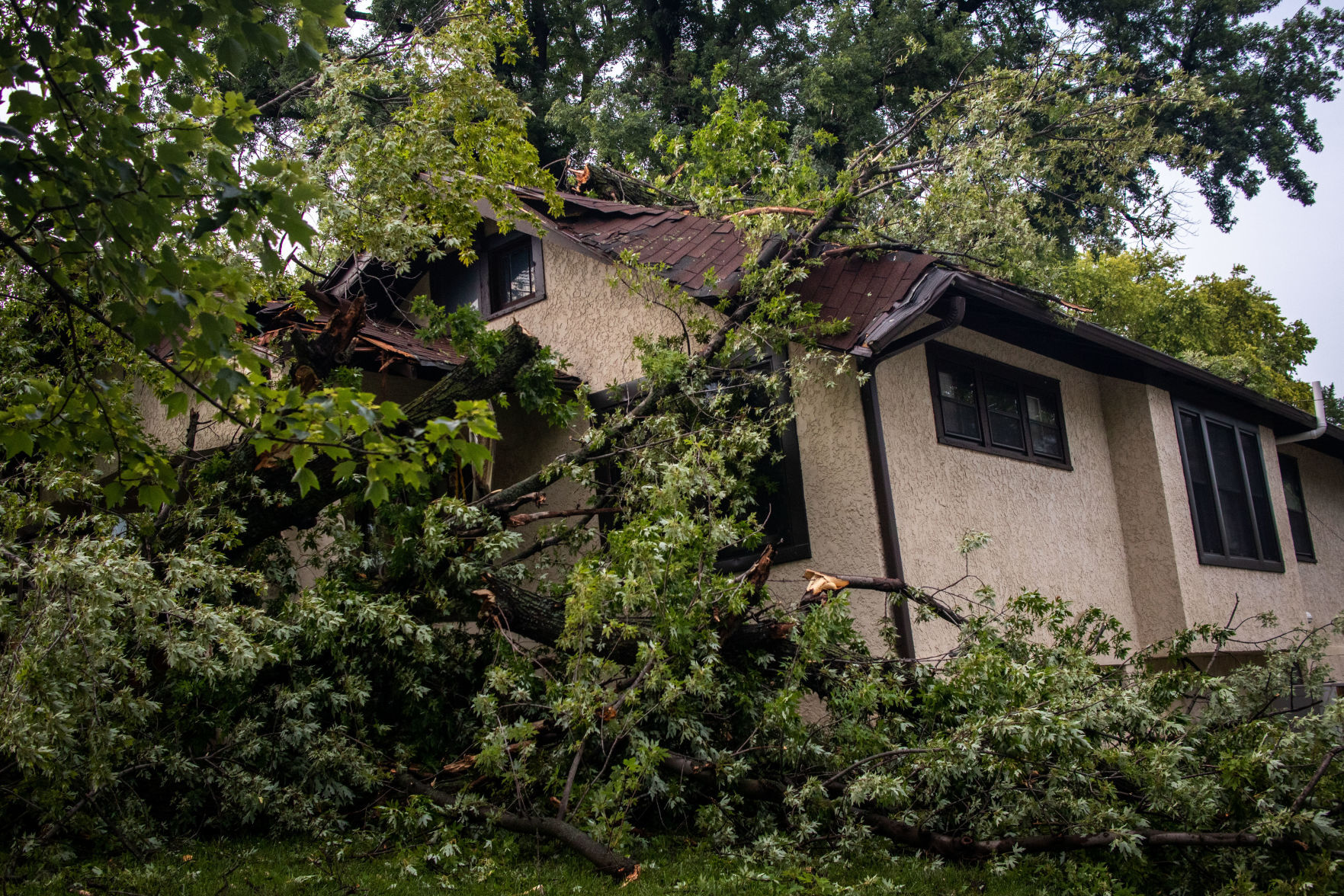 071121-owh-new-stormdamage-pic-cm003.jpg